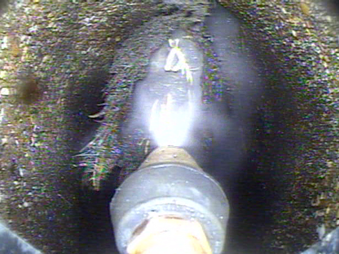 Main Line Tree Roots and Grease Removal